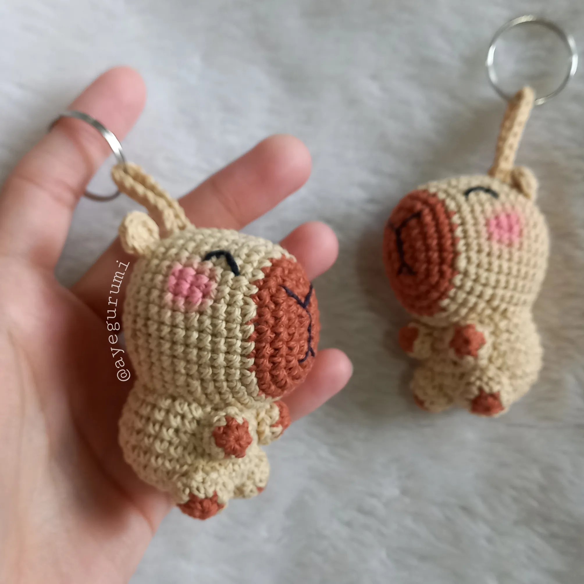 Carpincho ~ Capybara